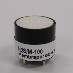 硫化氢传感器H2S/M-100